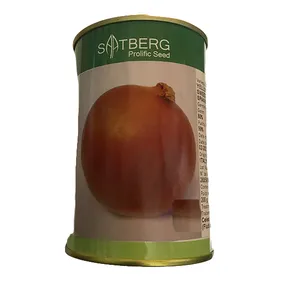 بذر پیاز زرد ساتربرگ کد yelloeet