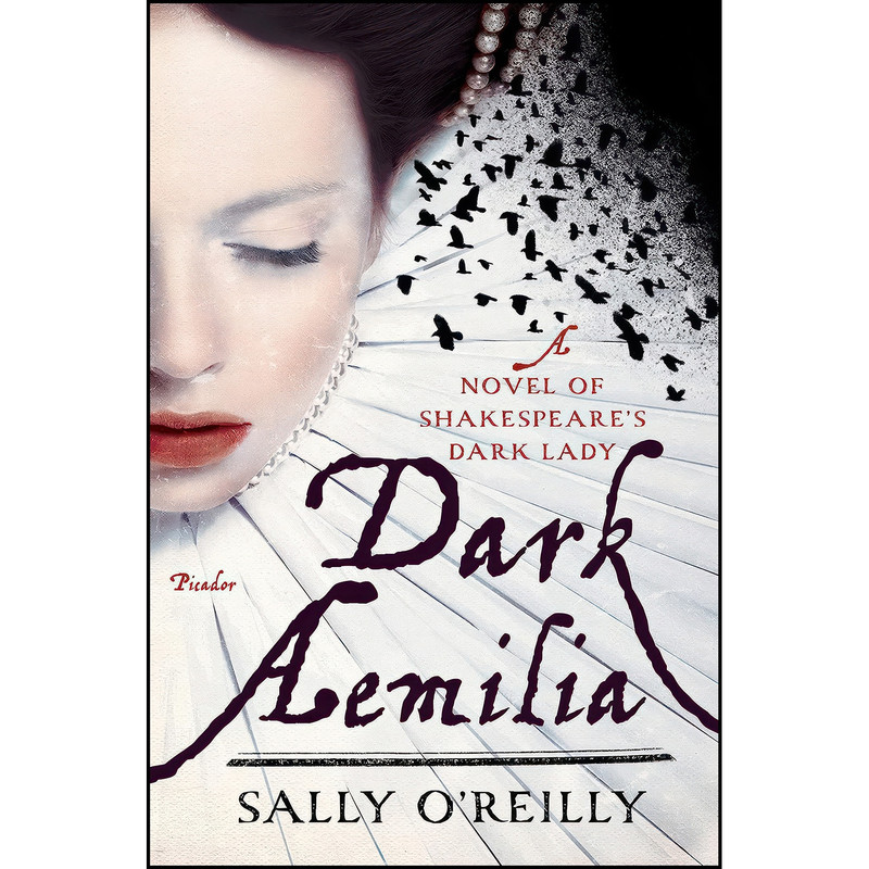 کتاب Dark Aemilia اثر (Novelist) Sally O Reilly انتشارات Picador