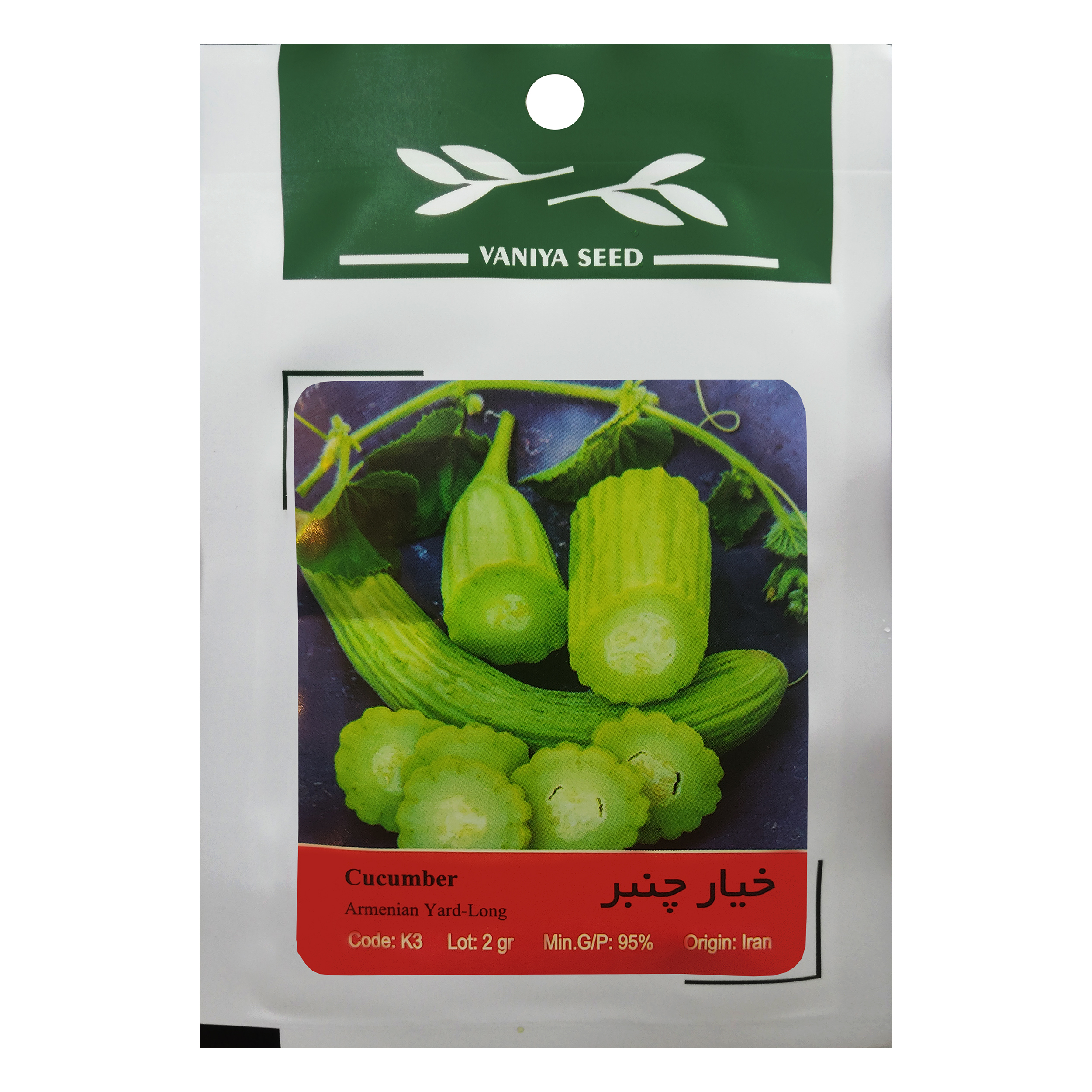 بذر خیار چنبر وانیا سید مدل K3