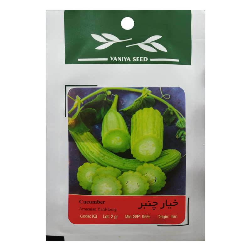بذر خیار چنبر وانیا سید مدل K3