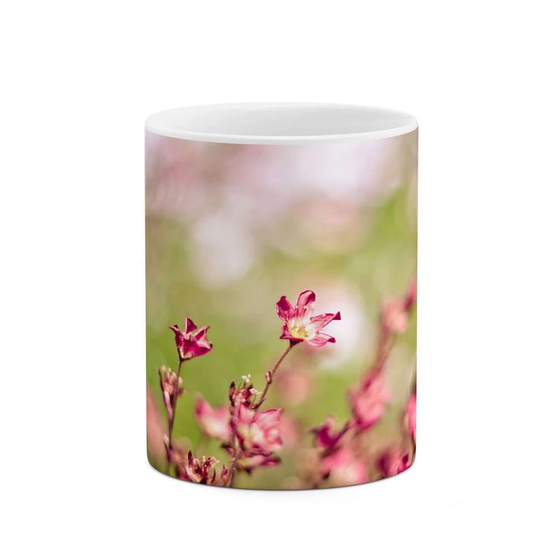 ماگ کاکتی مدل گل کد mgh12033