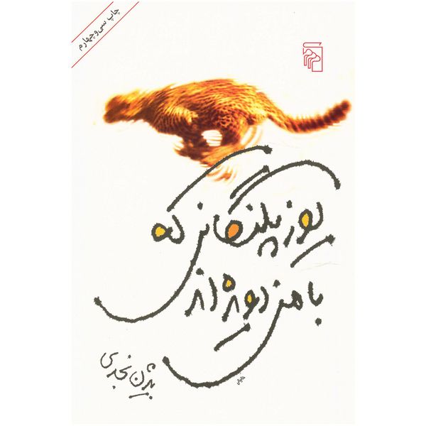 کتاب یوزپلنگانی که با من دویده اند اثر بیژن نجدی کتاب یوزپلنگانی که با من دویده اند اثر بیژن نجدی