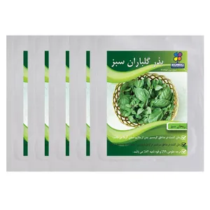 بذر ریحان سبز گلباران سبز مجموعه پنج عددی