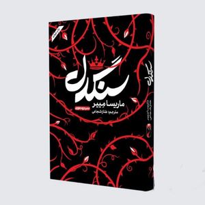 کتاب سنگدل اثر ماریسا مییر نشر خودمونی