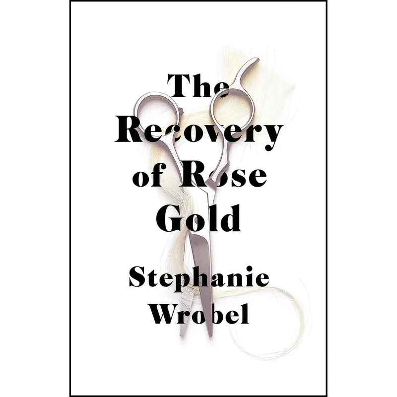 کتاب The Recovery of Rose Gold اثر Stephanie Wrobel انتشارات Michael Joseph