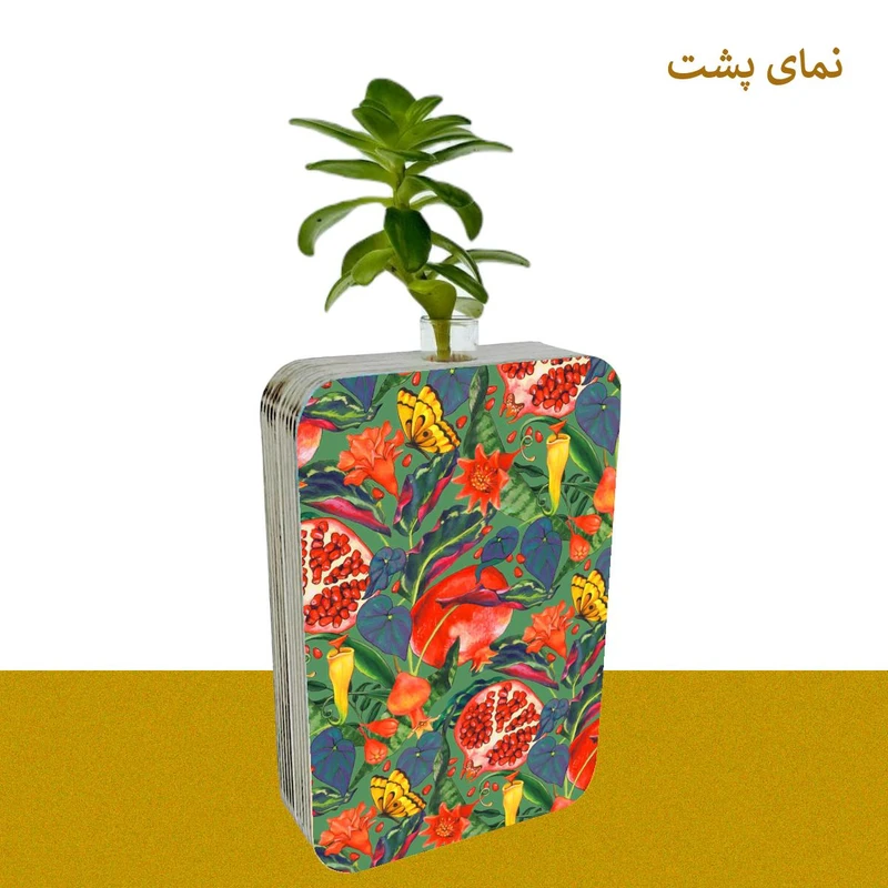 عکس شماره 3