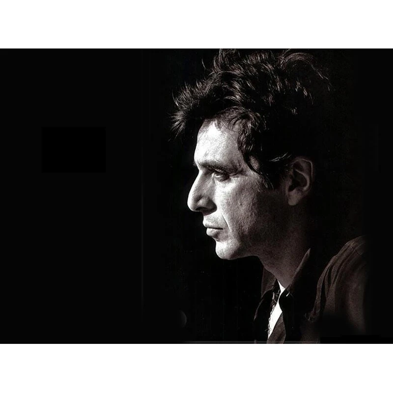 تابلو شاسی مدل آلپاچینو کد 1234