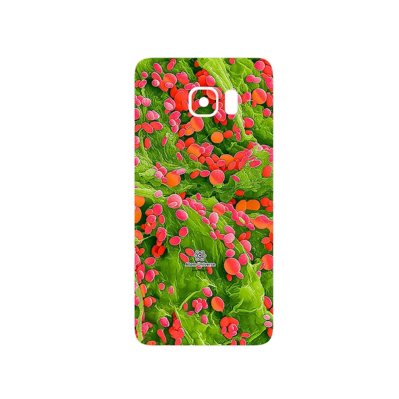 برچسب پوششی ماهوت مدل Atom Universe 3 مناسب برای گوشی موبایل سامسونگ Galaxy S6 Edge Plus