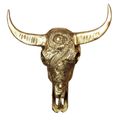 جمجمه کله گاو