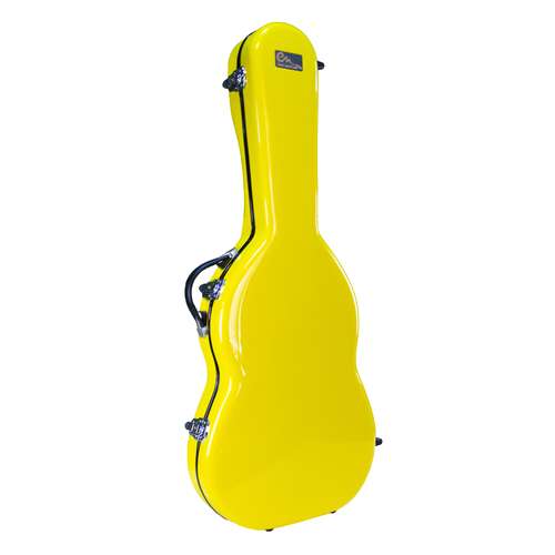 هارد کیس گیتار کلاسیک مدل FBR1