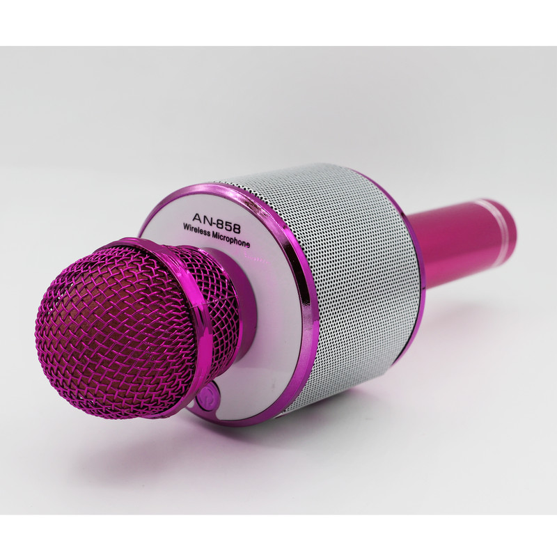 میکروفون اسپیکر آرسون مدل AN-858
