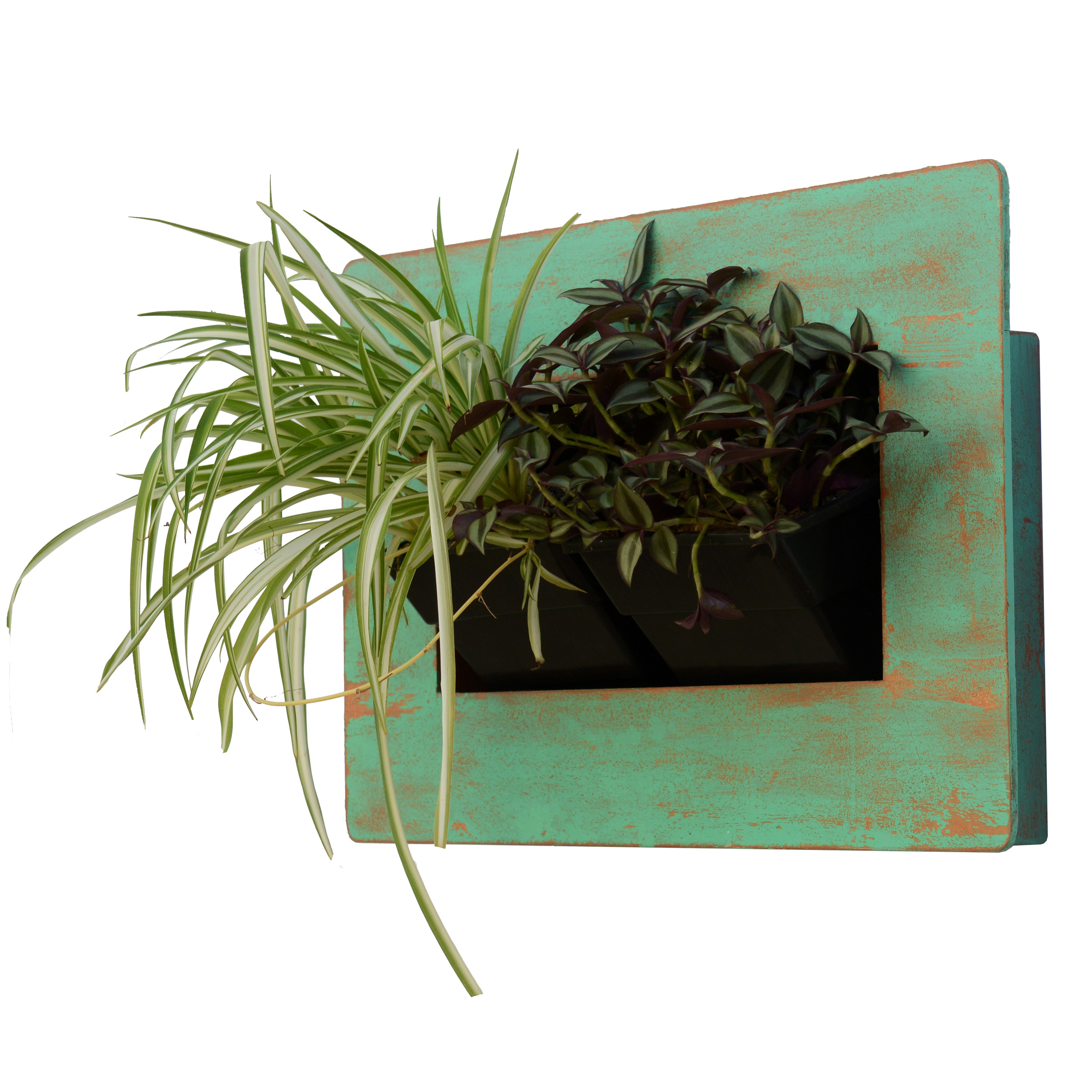 گلدان دیواری طرح قاب گیاهان طبیعی مدل L2 بسته 2 عددی