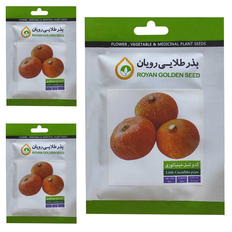 بذر کدو تنبل مینیاتوری بذر طلایی رویان کد BZT-147 مجموعه 3 عددی