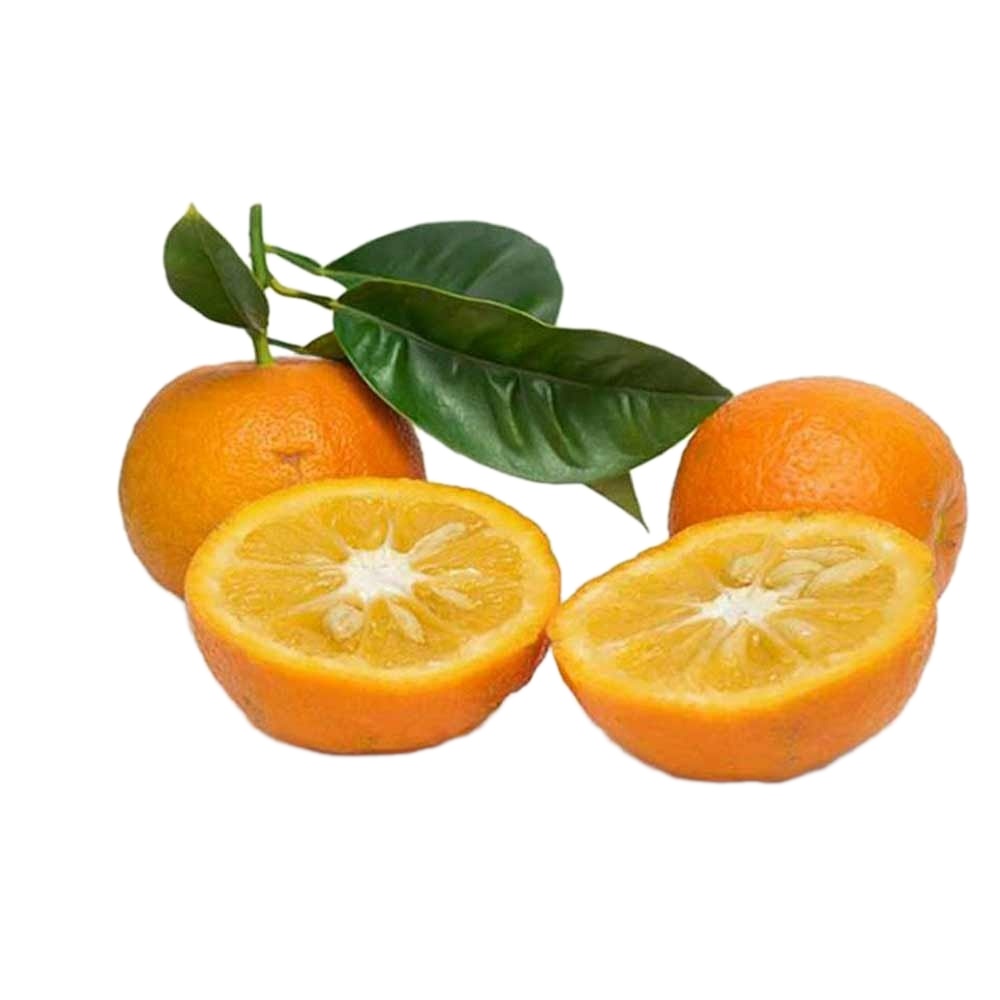 نارنج درجه یک - 1.5 کیلوگرم