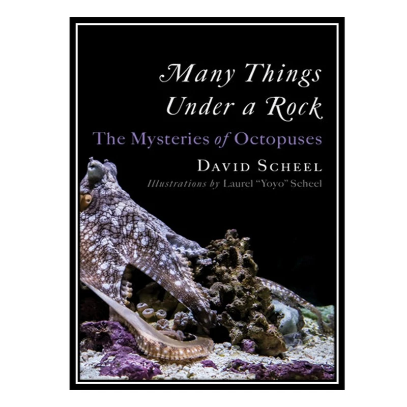 کتاب Many Things Under a Rock: The Mysteries of Octopuses اثر David Scheel انتشارات مؤلفین طلایی