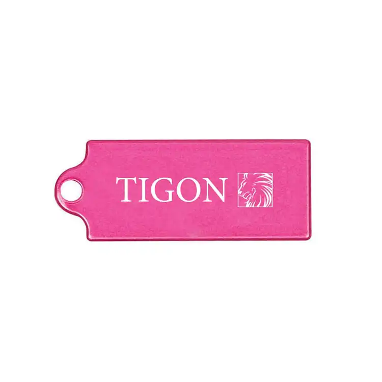 فلش مموری تایگون مدل P110 ظرفیت 32 گیگابایت