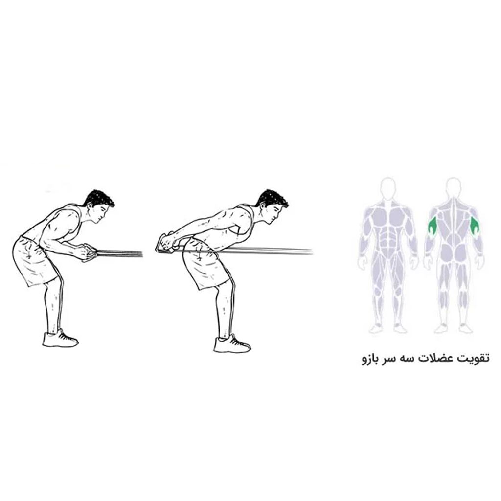 کش ورزشی تن زیب مدل CX200-15lb -  - 12