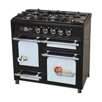 اجاق گاز کابینتی پنج شعله دنپاسر مدل N203-UP