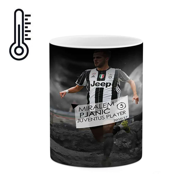 ماگ حرارتی کاکتی مدل پیانیک کد mgh10288