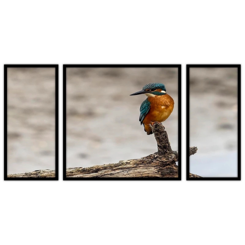 تابلو بکلیت طرح طبیعت و پرنده  مدل B-bu3638 مجموعه 3 عددی