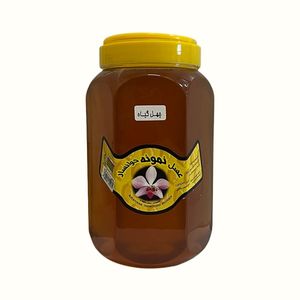 عسل  طبیعی نمونه مخصوص خوانسار -۲۰۰۰ گرم
