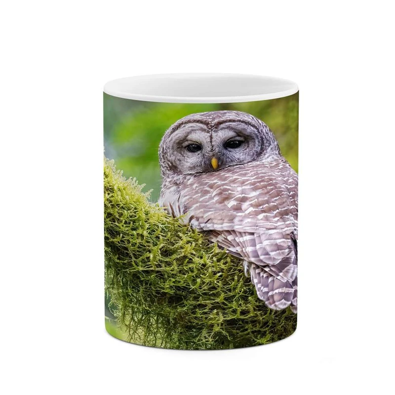 ماگ کاکتی مدل جغد کد mgh14599