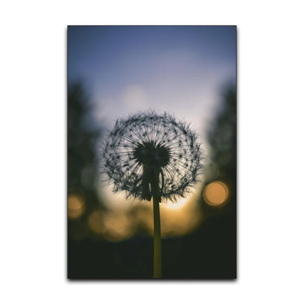 تابلو شاسی گوفی مدل طبیعت گل قاصدک غروب طرح Nature Flower کد FOKS15