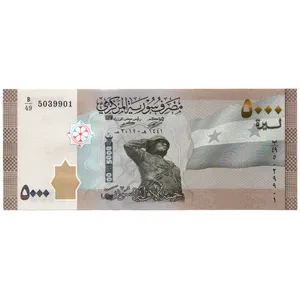 اسکناس تزئینی مدل سوریه 5000 لیره