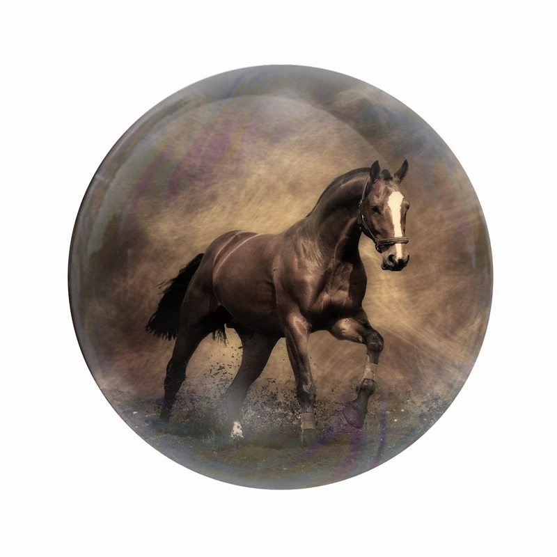پیکسل عرش مدل اسب کد Asp7630