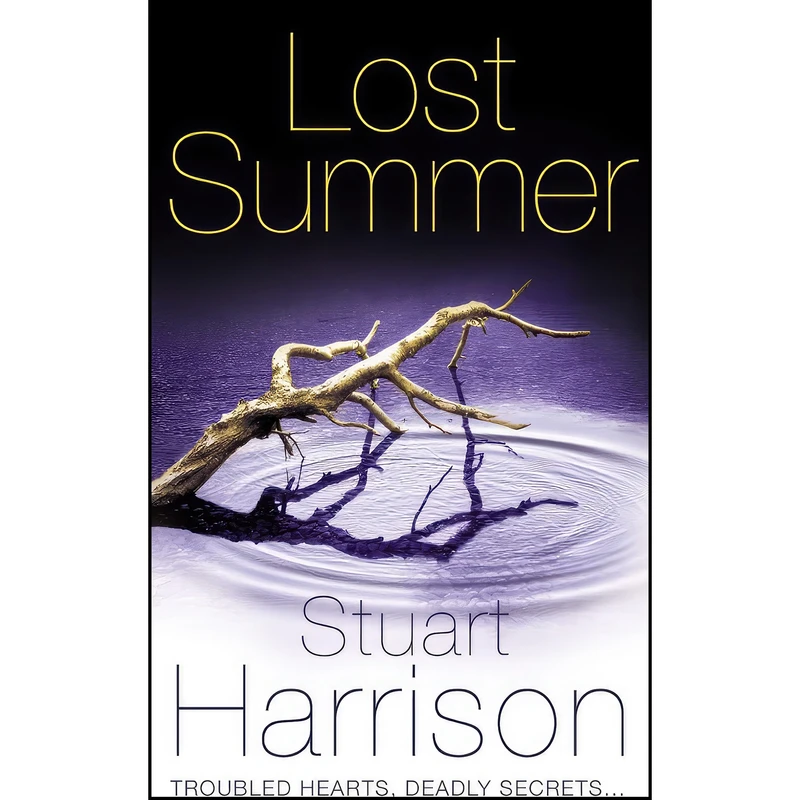 کتاب Lost Summer اثر Stuart Harrison انتشارات HarperCollins Publishers Ltd