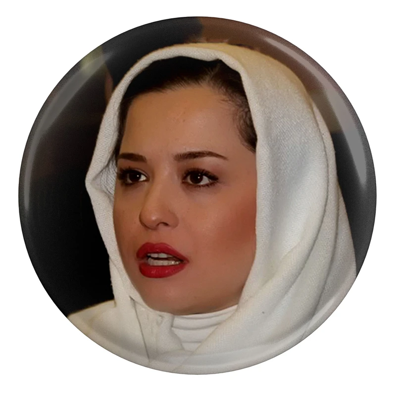 مگنت طرح مهراوه شریفی نیا مدل S8816