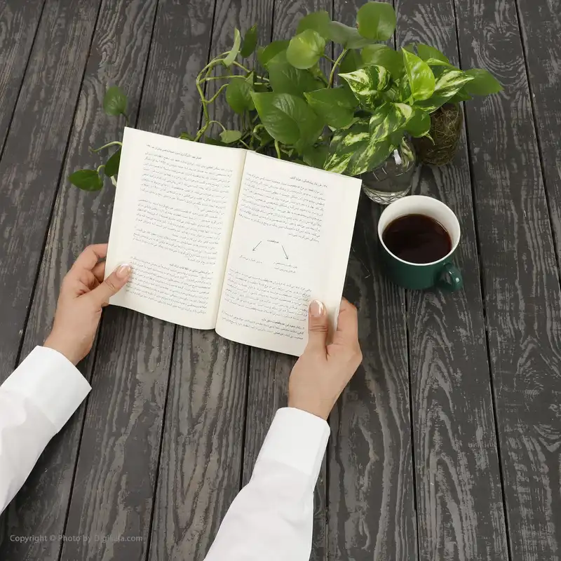 کتاب طرز فکر پیشاهنگی اثر جولیا گالف نشر میلکان