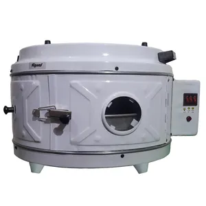 فر برقی آیسل مدل AYS330