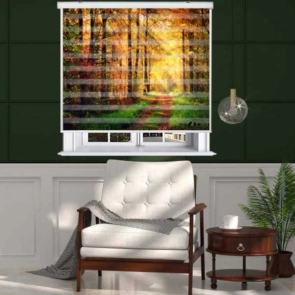 پرده زبرا زیو کد L5029 سایز 150X150 سانتی متر