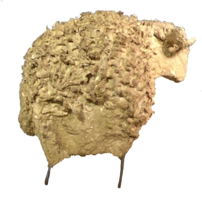 مجسمه مدل قوچ محلی