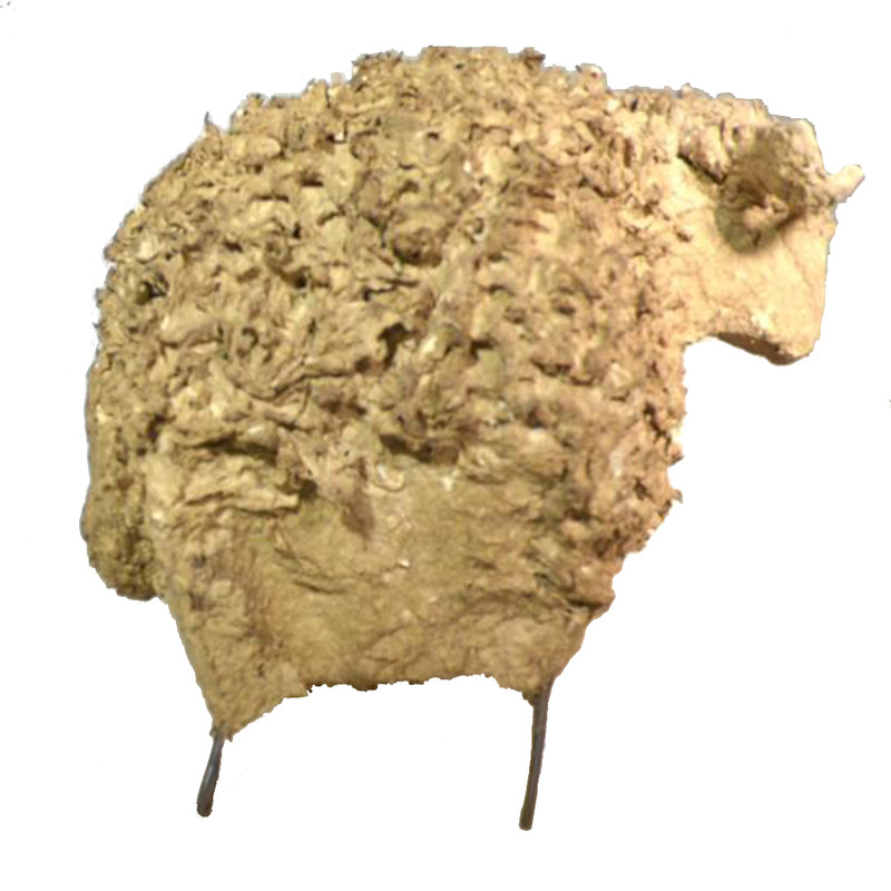 مجسمه مدل قوچ محلی