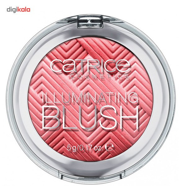 رژ گونه کاتریس مدل Illuminating 020