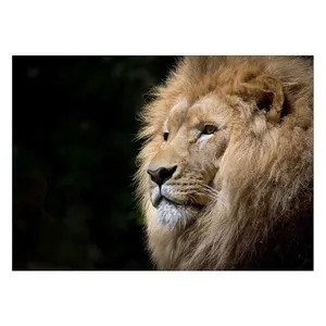 Wensoni Imposing Lion Chassis Size 50 x 70 Cm