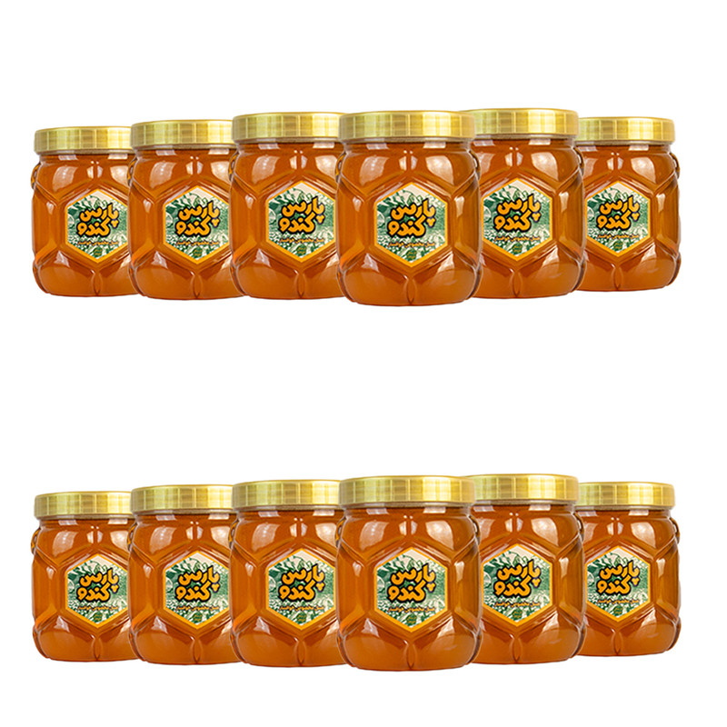 عسل پارس کندو - 500 گرم بسته 12 عددی
