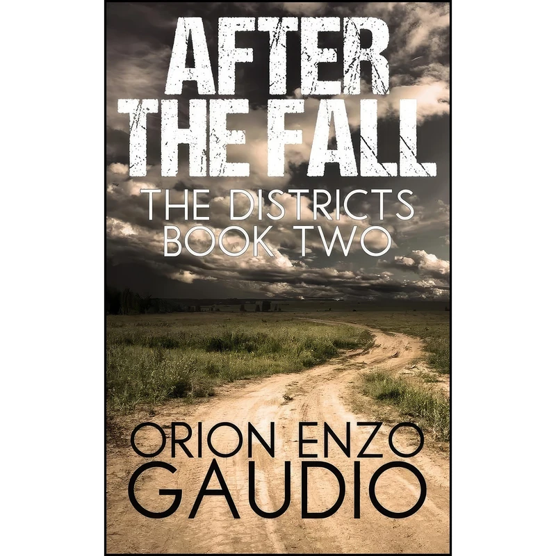 کتاب After the Fall  اثر Orion Enzo Gaudio انتشارات تازه ها