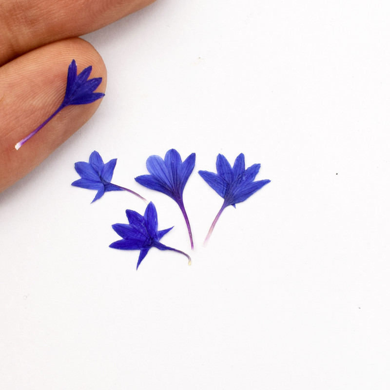 گل خشک مدل گندمی کد PR 5 مجموعه 5 عددی