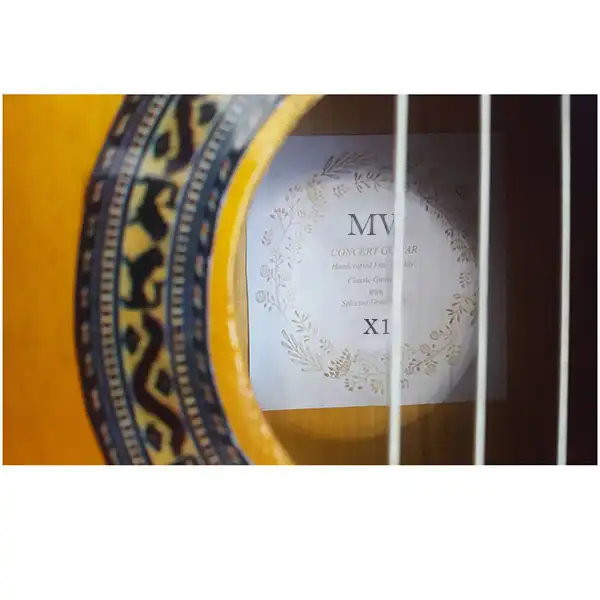 گیتار ام وی مدل X1