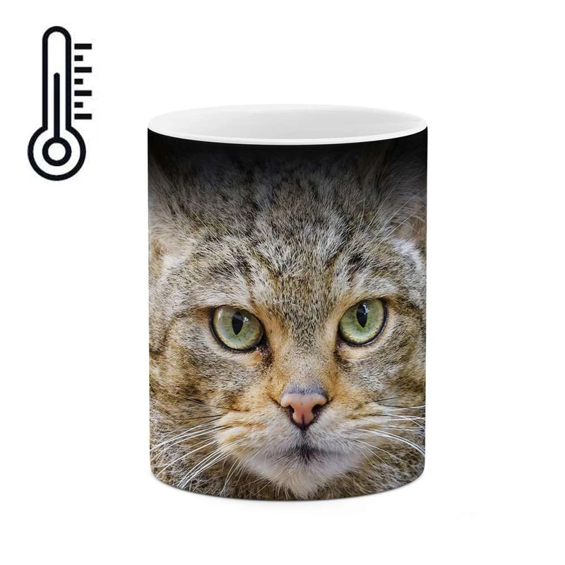 ماگ حرارتی کاکتی مدل گربه کد mgh16554