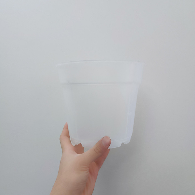 گلدان مدل شفاف ارکیده 18cm بسته 9 عددی