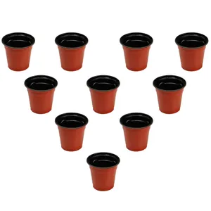 مجموعه 10عددی گلدان ژله ای سایز 6 ارتفاع 6 سانتی متر