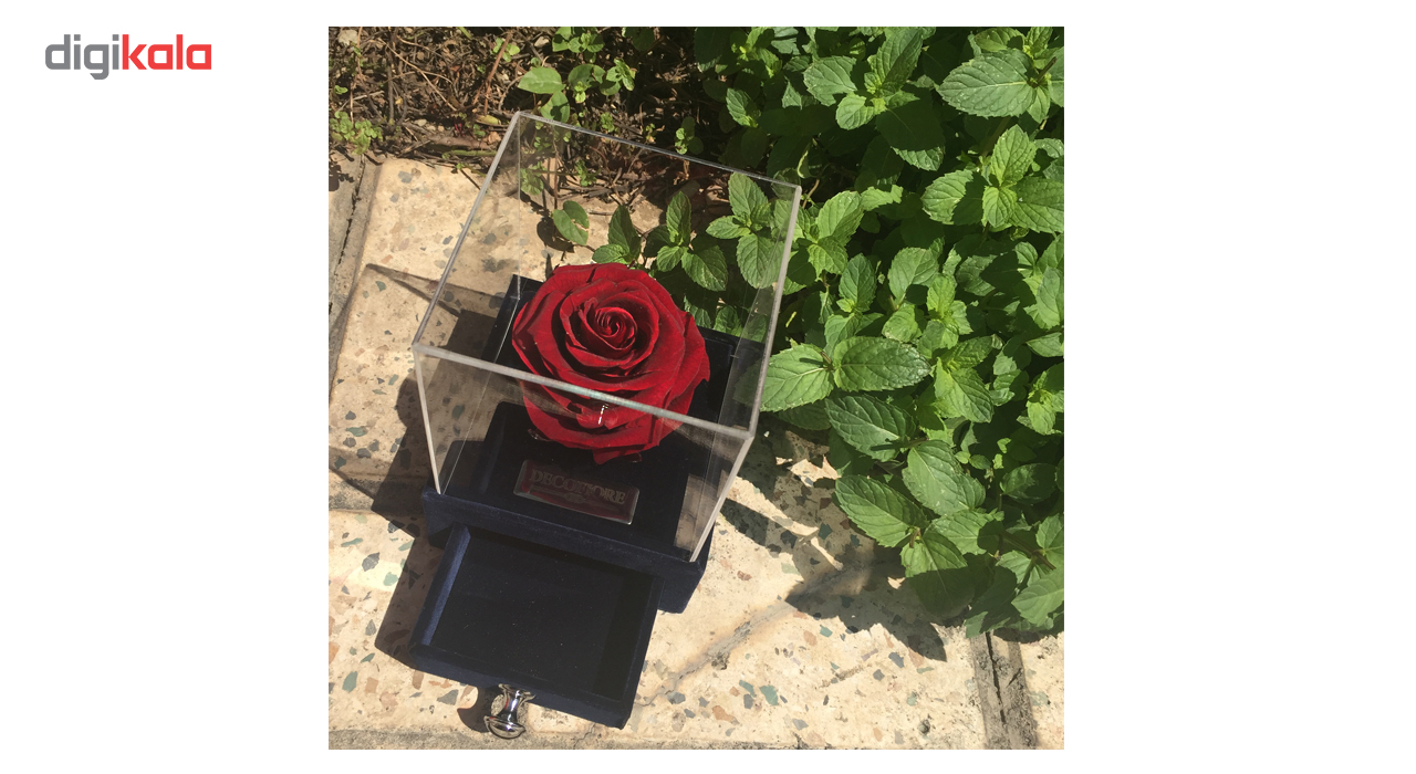 جعبه جواهرات و کارت هدیه رز جاودان مدل گل ماندگار دکوفیوره - به همراه پاکت مخصوص
