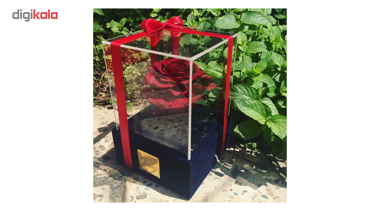 جعبه موزیکال گل ماندگار دکوفیوره مدل رز جاودان ملودی های عاشقانه - به همراه پاکت مخصوص