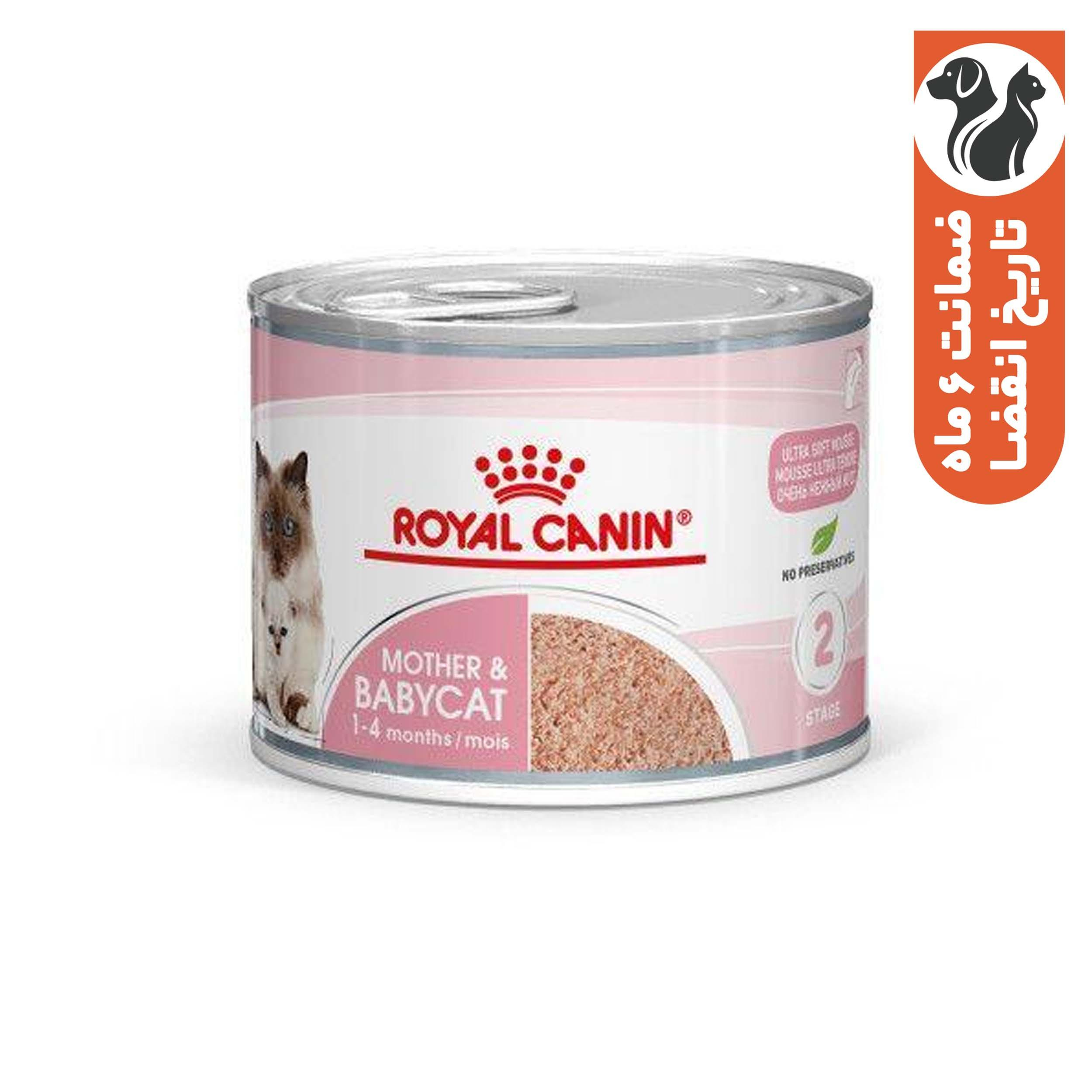 کنسرو غذای گربه نابالغ رویال کنین مدل 01 وزن 195 گرم