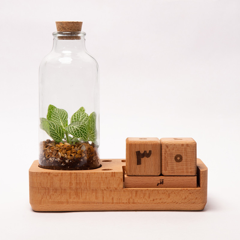 تراریوم طبیعی گلوریا سیسترز مدل تقویم کد 010