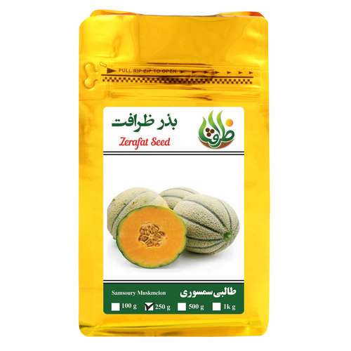بذر طالبی سمسوری ظرافت مدل BZ2179
